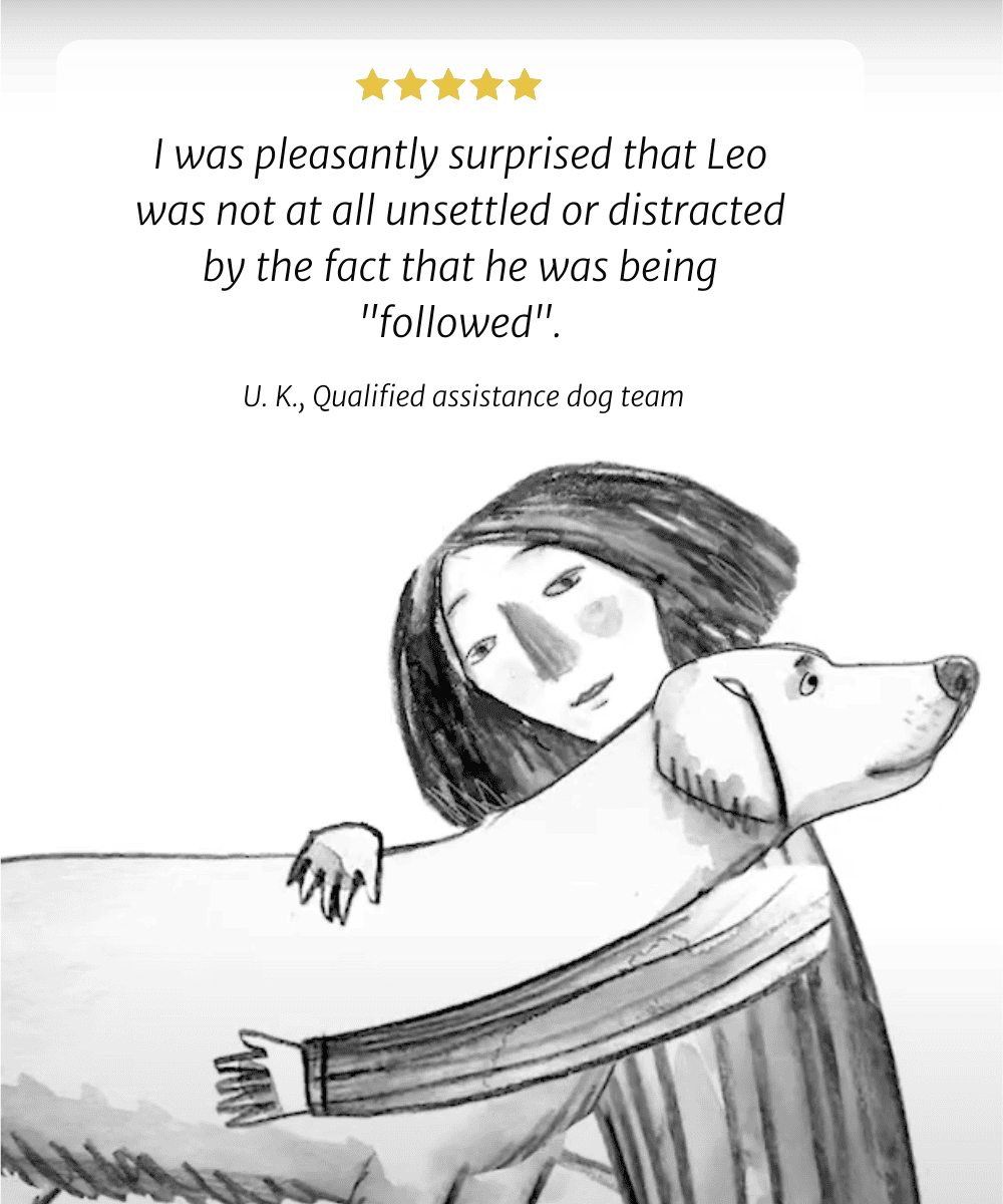 I was pleasantly surprised that Leo was not at all unsettled or distracted by the fact that he was being "followed". U. K., Qualified assistance dog team