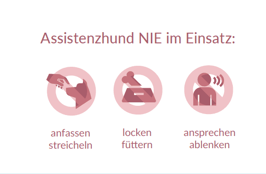 Touch or pet assistance dogs inappropriately.